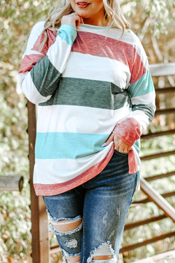 Honey Plus-Size Colorblock Pullover Top - Rebel Nomad